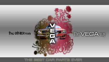 Vega car parts store banner