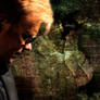The Cult of Horatio Caine