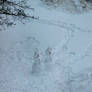 Snow people