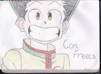 Gon Freecs - Hunter X Hunter