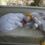 Kyubey Plush: Another view