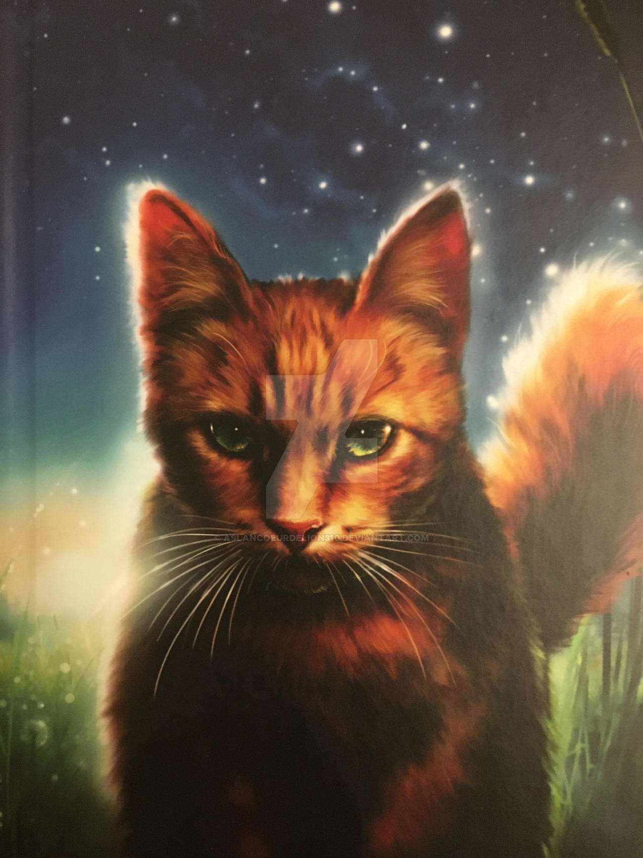 Firestar Is Actually Alive – Sunny's Spiel