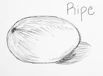 Inktober Day 31: Ripe