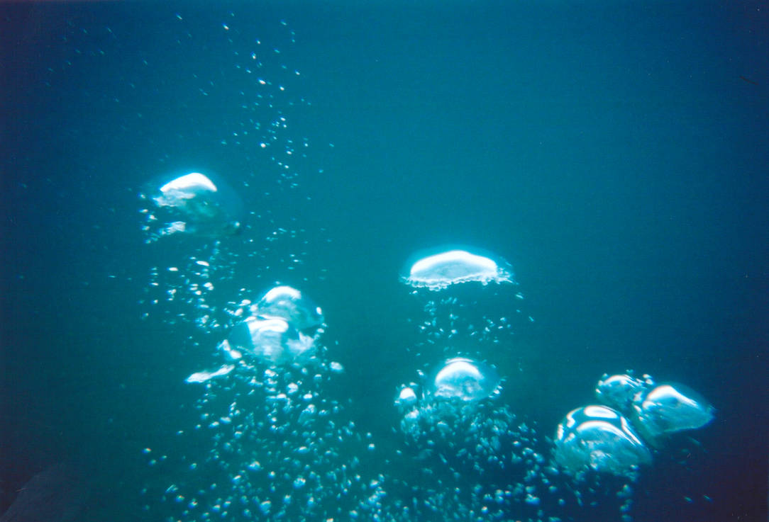 Туман везде поднимается вода пузырьками садится. Под водой. Пузырьки под водой. Блики на воде. Пузыри под водой.