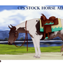 CPS Stock Horse + Tack Set Adopt