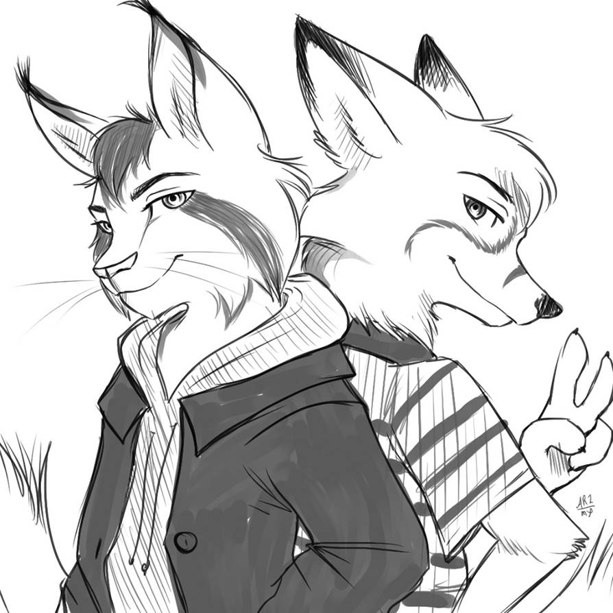 The Lynx and the fox by Arzmx on DeviantArt