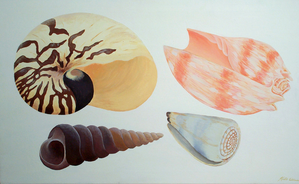 Shell Studies 1