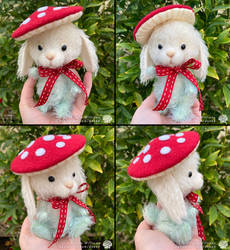 Bunny Toadstool