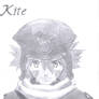 kite