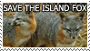 Save the Island Fox