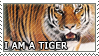 I Am A Tiger