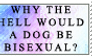 Bisexual Dogs WHAT