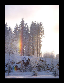 Polar Rainbow