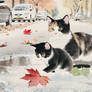 Wait, what?! /First autumn in Maple drive/