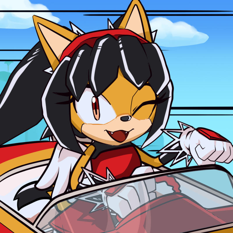 TSR Overdrive Style Honey The Cat by RummyCoffee on DeviantArt