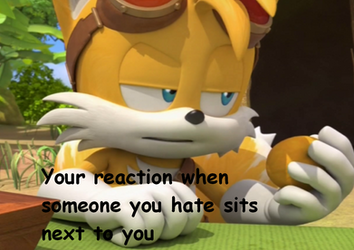 Sonic Boom Meme No.13