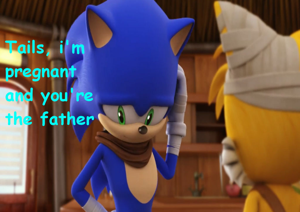 Sonic Boom Meme No.28