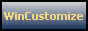 WinCustomize button