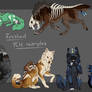 Completed Ychs