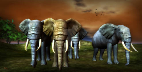 ELEPHANTS STANDING for World Elephant Day