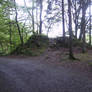 Natur37_HL