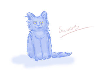 Severus Quick Sketch