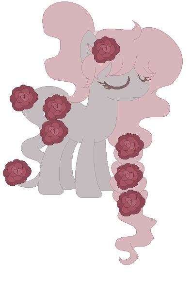 Rose pony adopt