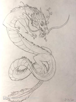 [Hiatus Dragon Sketches 3/8] Eastern Dragon