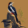 Great Spotted Woodpecker (Digital)