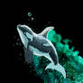 Orca Swim (Digital)