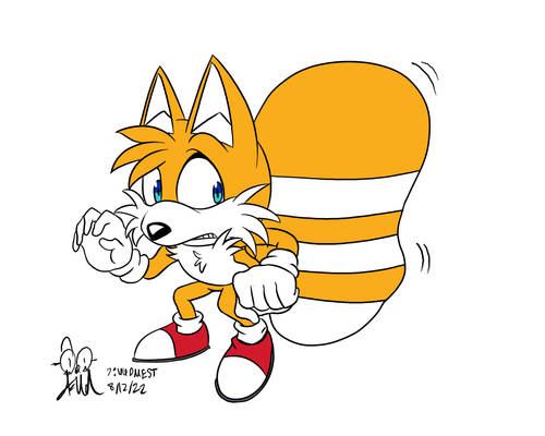 Tails with a Tanooki Tail