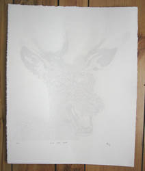 Swamp Buck Screenprint