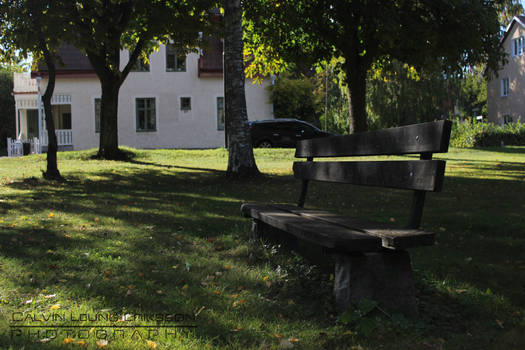 Shady Park Bench