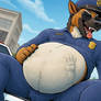 police belly