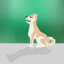 Shiba Inu !!!