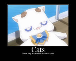 Cats Demotivational