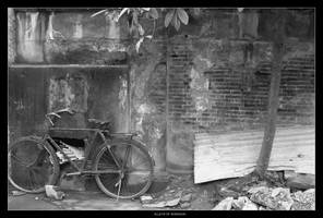 Alleys of Shanghai