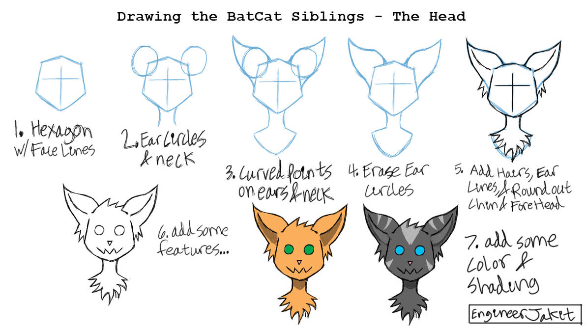BatCat Draw #1 - The Head (front of face) by EngineerJakit on DeviantArt
