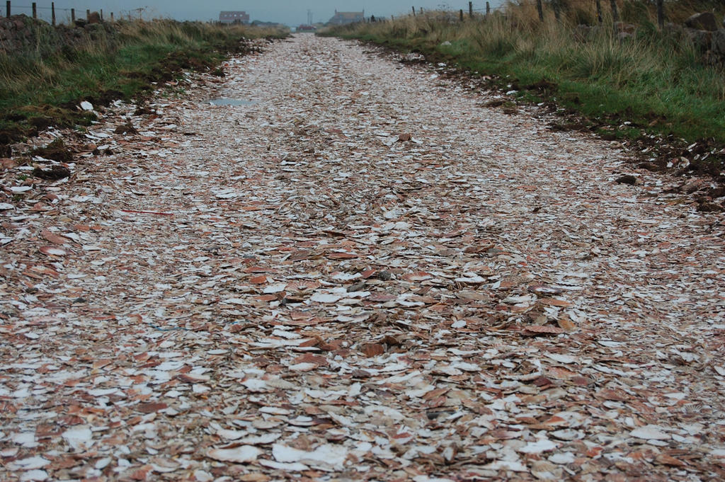 Shell Base Road Shell Road by tal4 on DeviantArt