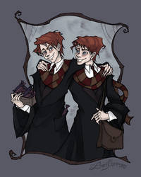 Weasley Twins