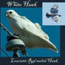 White Hawk