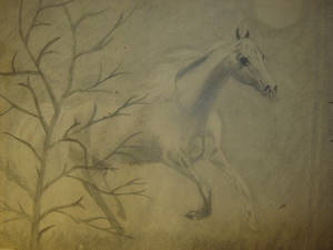 Horse Pencil Sketch