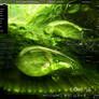 desktop green