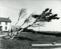 Power of nature