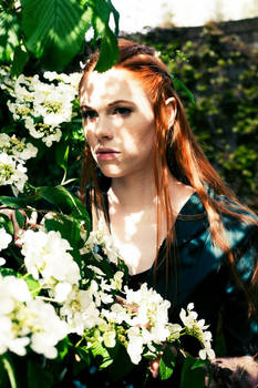 Tauriel - 04