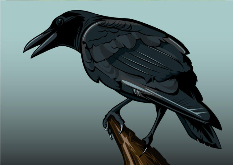 Sinking Crow Vector Vectorized Crow by New-Silicate on DeviantArt