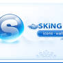 Sky sking header weblog