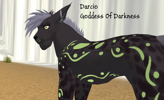 Meet Darcio