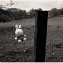 Barbedwire Miffy