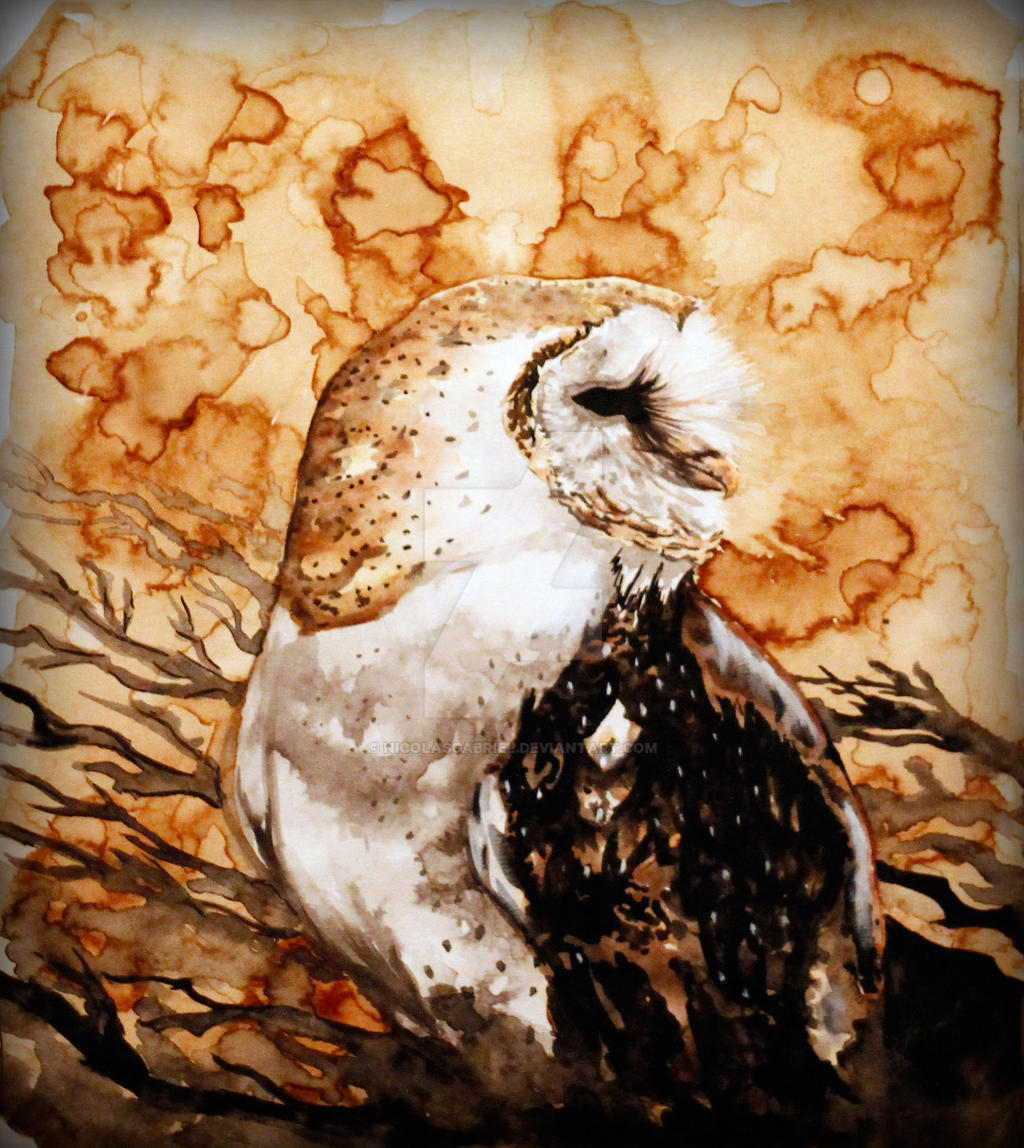 tyto alba